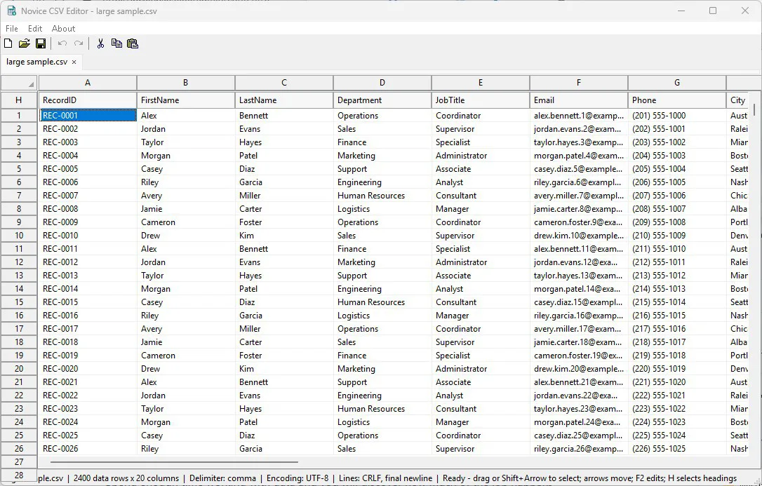 Novice CSV Editor
